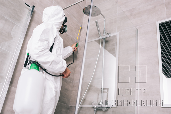 Санитарная обработка от тараканов в квартире  в Москве
